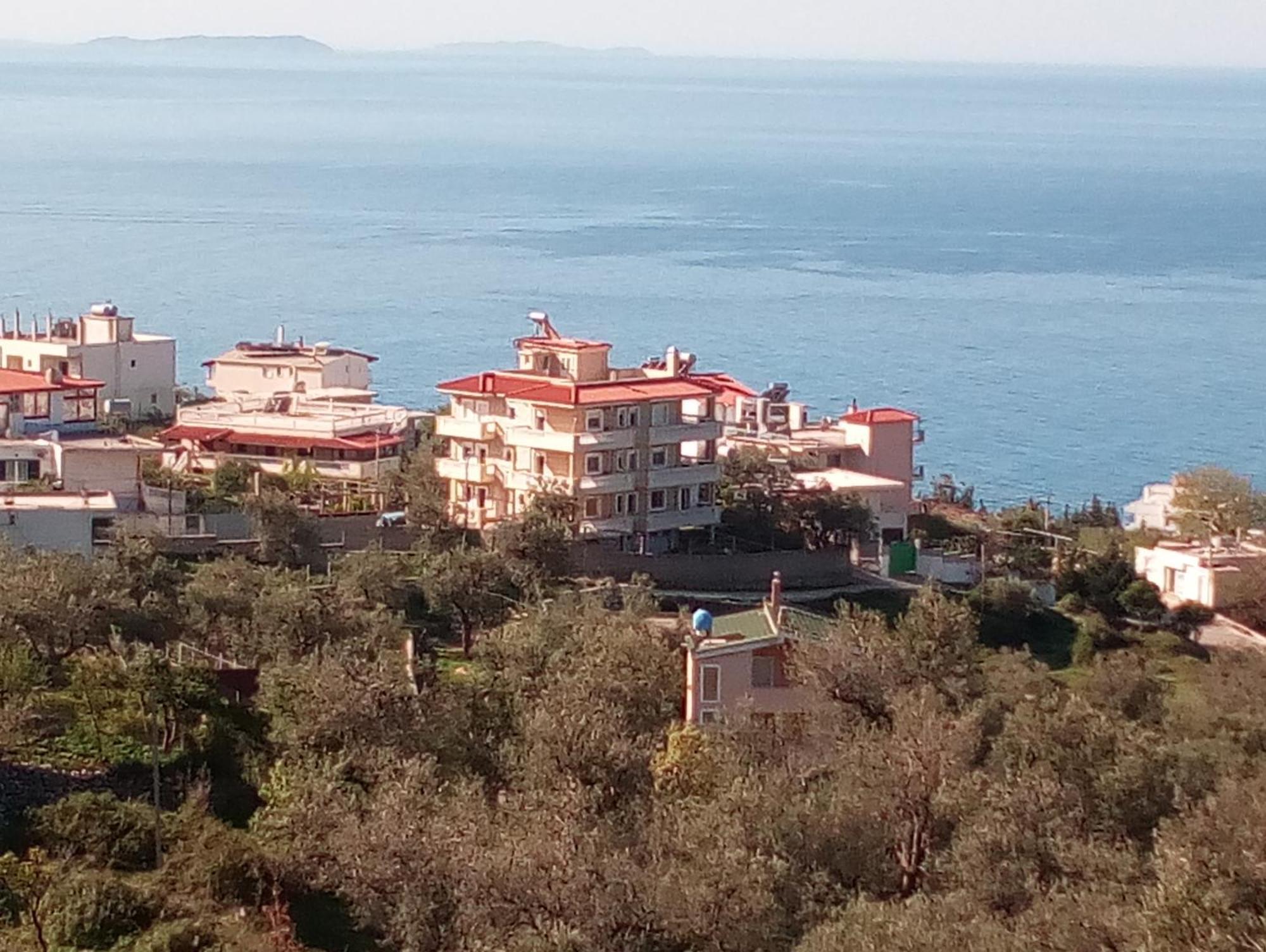 Spartila Apartments Dhërmi エクステリア 写真